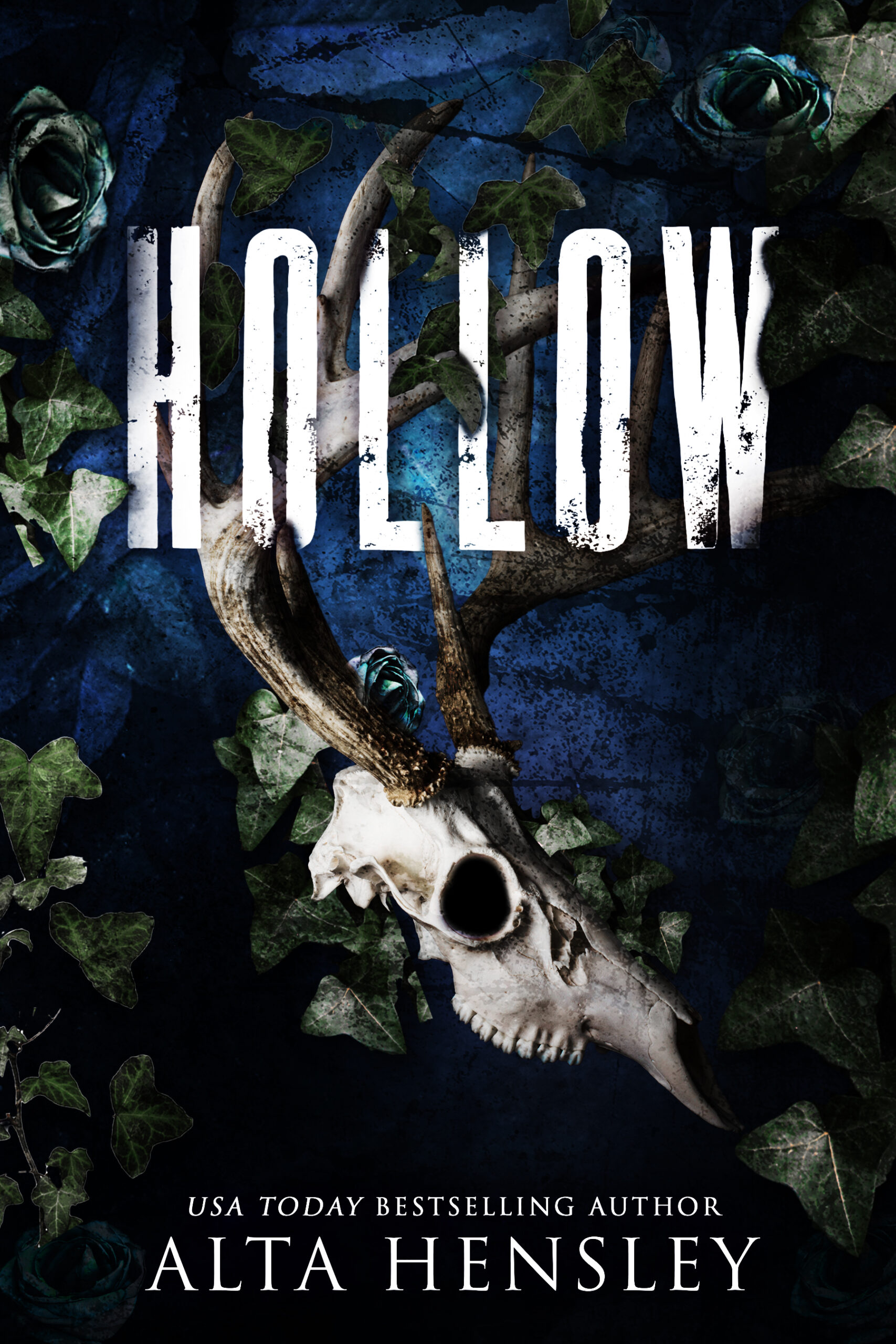 Book Cover: Hollow